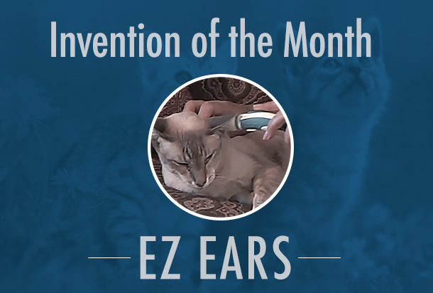 ez-ears-blog